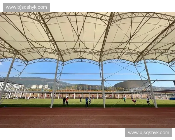 大型体育赛事突发事件风险防控与应急管理体系研究协同机制与实践路径